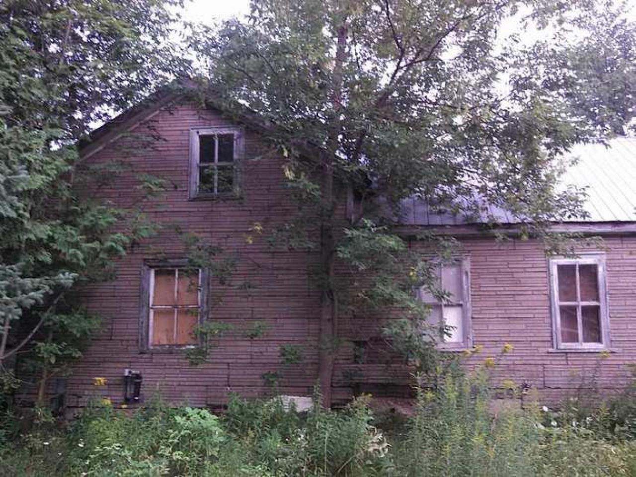 Dunedin station - my pictures 007.jpg