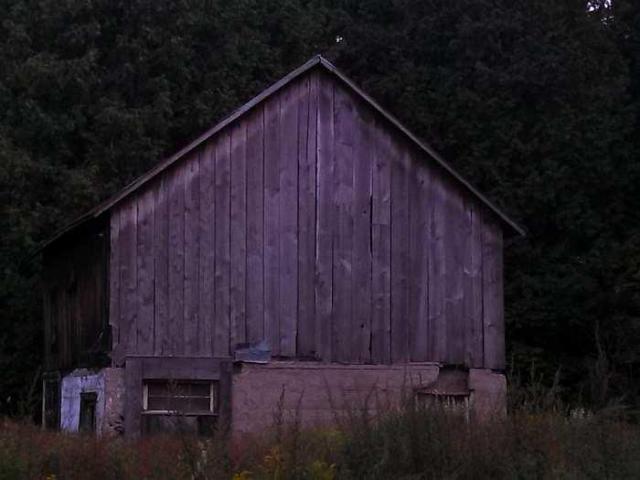 Dunedin station - my pictures 008.jpg