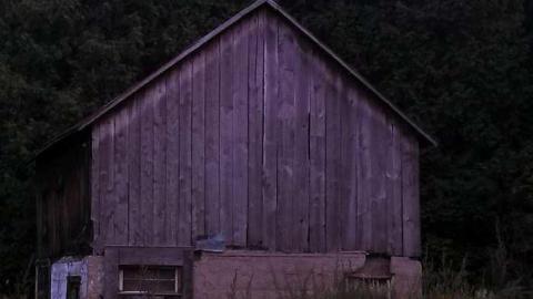 Dunedin station - my pictures 008.jpg