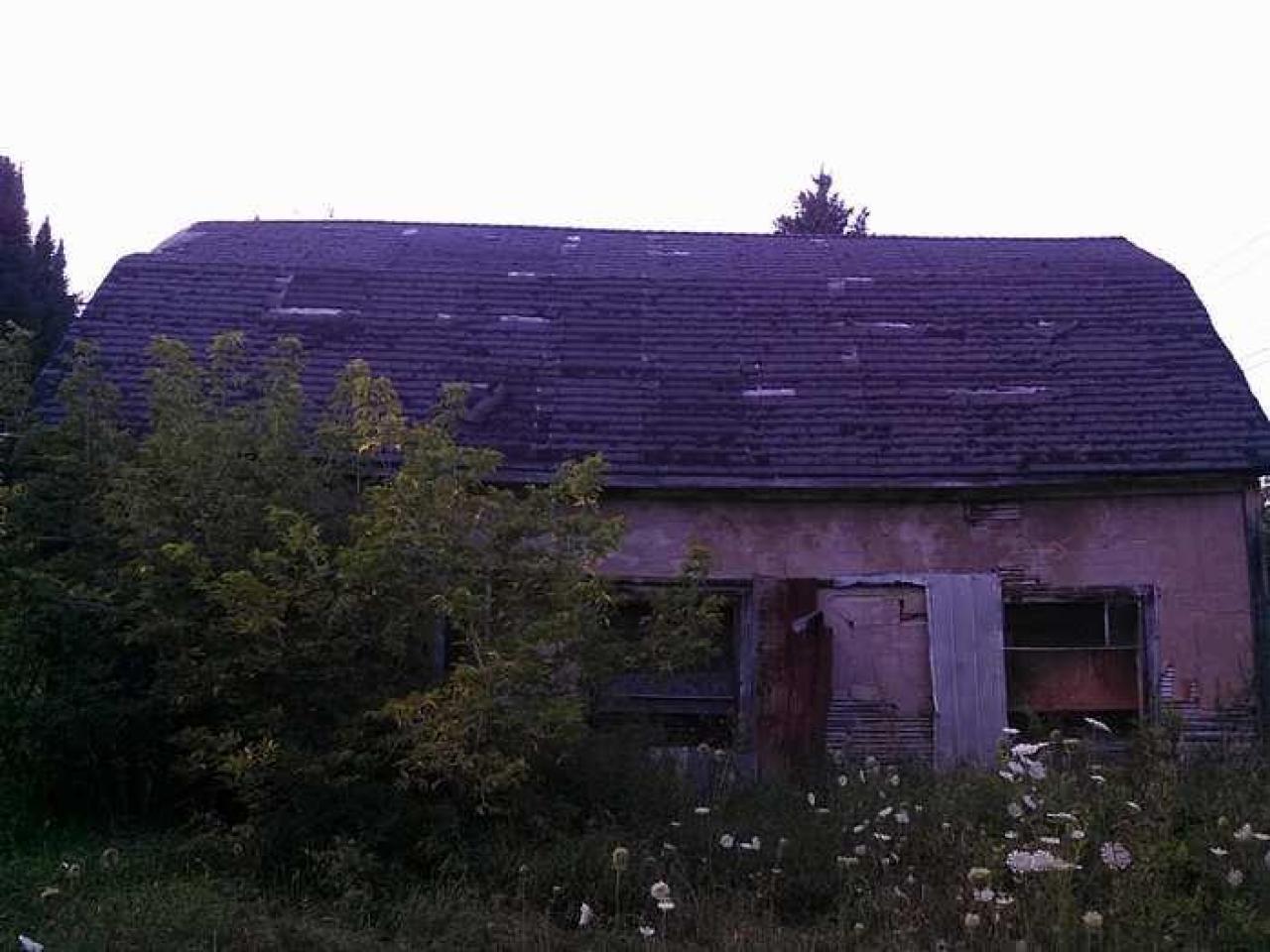 Dunedin station - my pictures 014.jpg