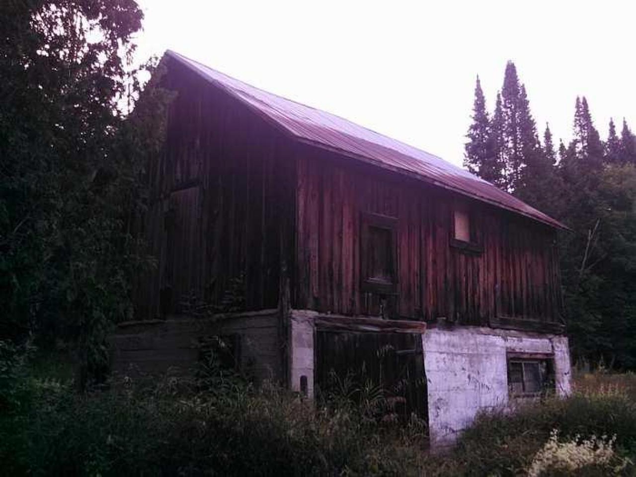 Dunedin station - my pictures 016.jpg