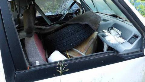 Corny - Cornhuskers-House72.jpg