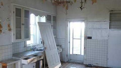 Cinereel Cereal - P1020902.jpg