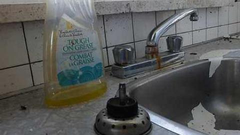 Cinereel Cereal - P1020904.jpg