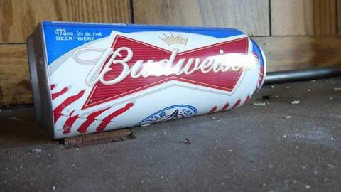 Cinereel Cereal - P1020907.jpg