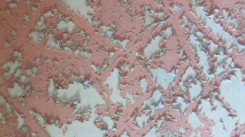 Cinereel Cereal - P1020910.jpg