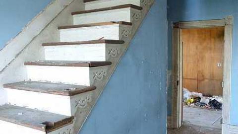 Cinereel Cereal - P1020911.jpg