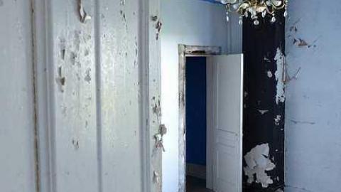 Cinereel Cereal - P1020912.jpg