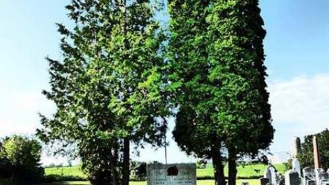 Salem  - Salem-Pioneer-Cemetery36.jpg