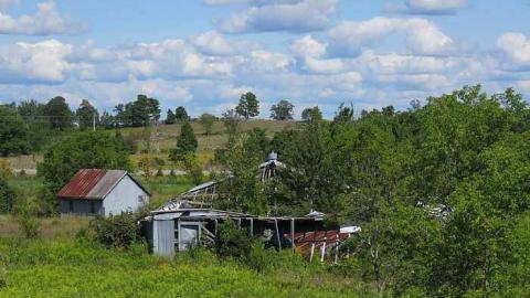 Burnt but Standing  - Barn-shed.jpg