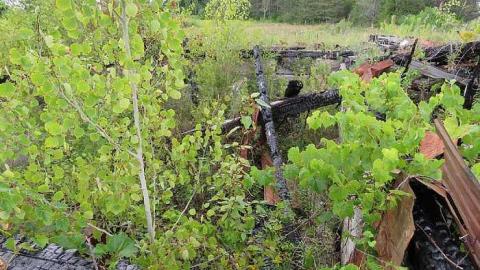 Burnt but Standing  - Basement burnt house.jpg