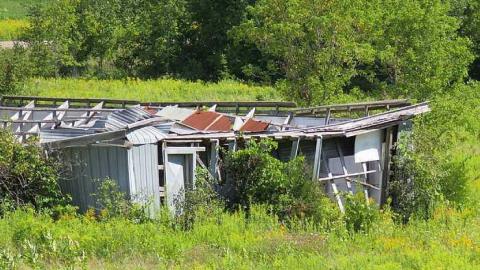 Burnt But Standing photo 5