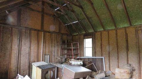 Burnt but Standing  - Shed 3.jpg