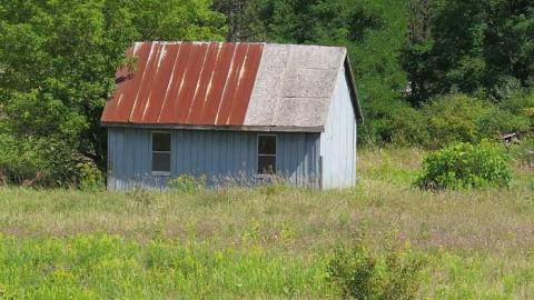 Burnt but Standing  - Shed back.jpg