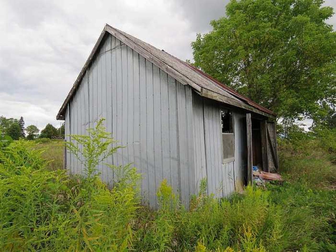 Burnt but Standing  - Side shed.jpg