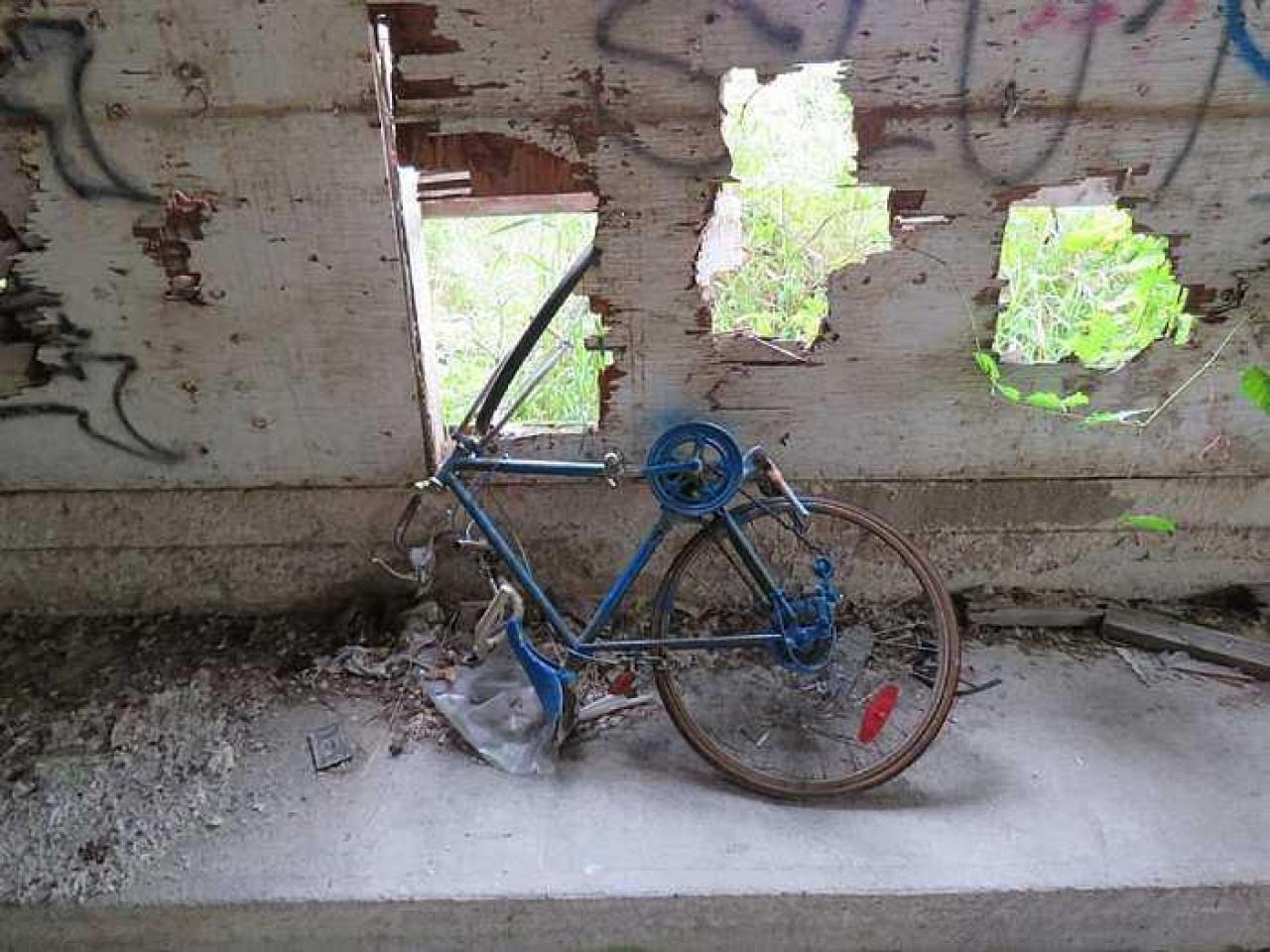 Burnt but Standing  - Tagged.jpg