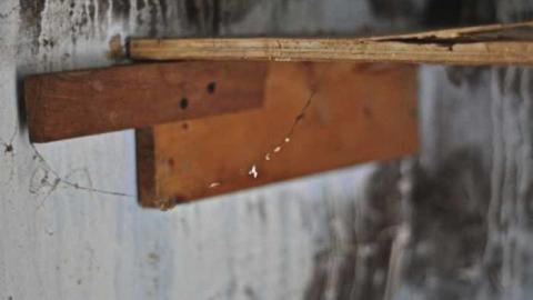 Woodbine Ave - WhitchurchStouffville-area15.jpg