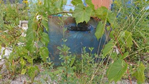 Welcome Inn - DSC_2984.jpg