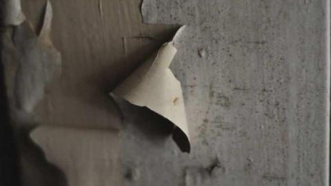 Woodbine Ave - WhitchurchStouffville-area6.jpg