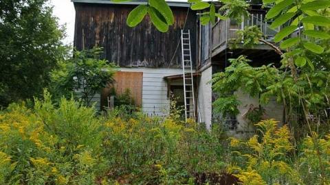 Cavan St. - 108-Cavan-Street11.jpg