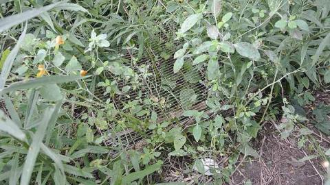 Photo from Cavan St.