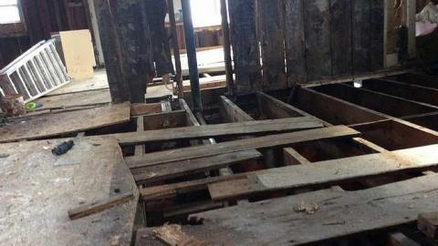 Look Ma! No Guts! photo 2