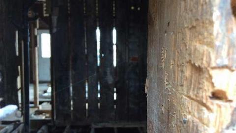 Look Ma! No Guts! photo 3