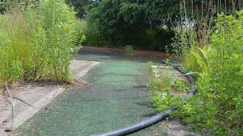 Mini Golf - Thunderbird-Down28.jpg