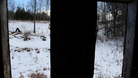 Spring 2015 - IMG_4033.jpg