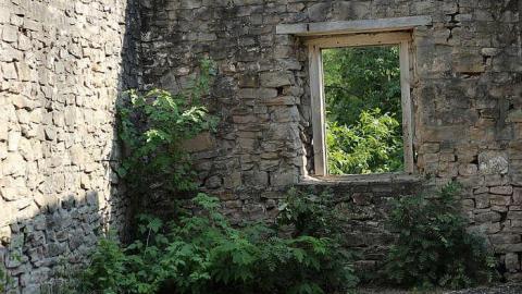 AUG 2015 - Darnley-Mill-Crooks-Hollow31.jpg