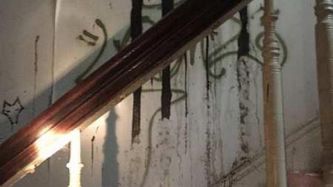 Forgotten Beauty - Fanshawe-Beauty68.jpg