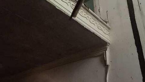 Forgotten Beauty - Fanshawe-Beauty67.jpg