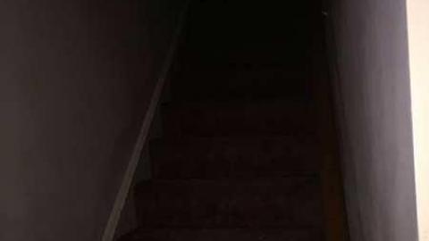 Forgotten Beauty - Fanshawe-Beauty23.jpg