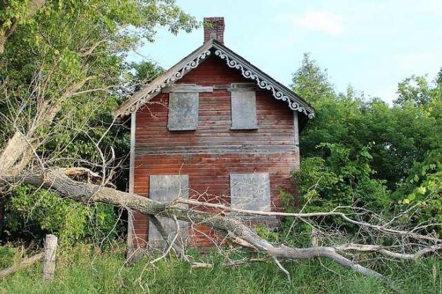 Jessie's place. - IMG_1854.jpg