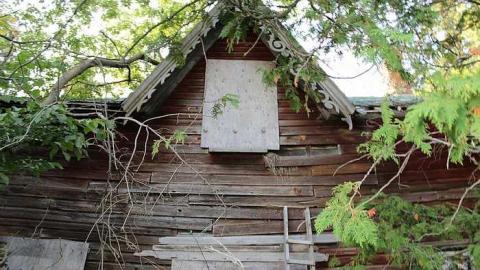 Jessie's place. - IMG_1866.jpg