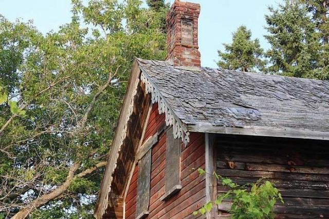 Jessie's place. - IMG_1870.jpg