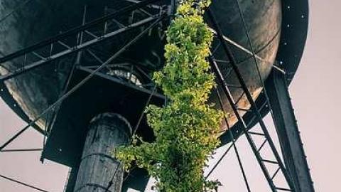 Aug 31 2015 - Long-Branch-Arsenal-Lands9.jpg