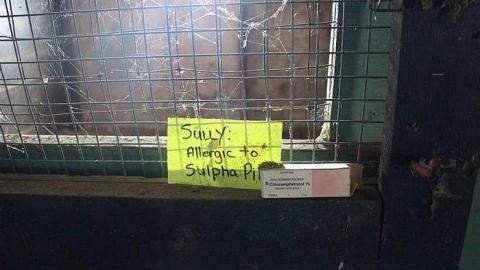 Northwinds - IMG_6751.jpg