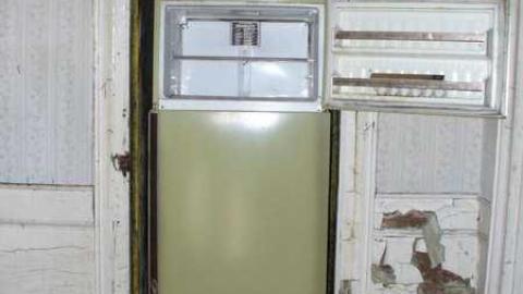 White Rose - Leslies-demise8.jpg