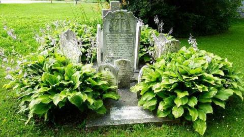 Photo from St. John's