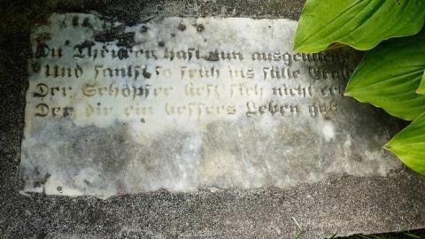 St. John's - St.-Johns-Lutheran-Church-187612.jpg