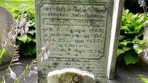 Photo from St. John's