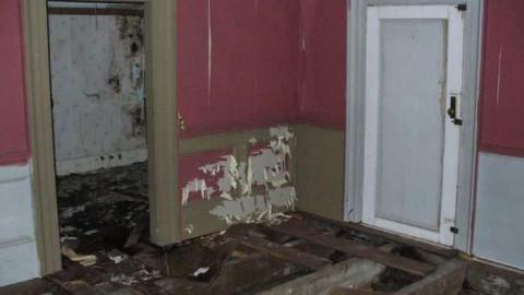 White Rose - Leslies-demise10.jpg