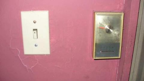 White Rose - Leslies-demise12.jpg