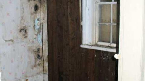 White Rose - Leslies-demise13.jpg