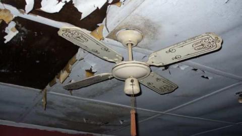 White Rose - Leslies-demise15.jpg