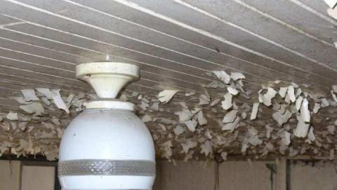 White Rose - Leslies-demise1.jpg