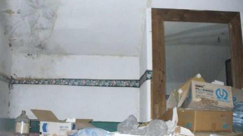 White Rose - Leslies-demise2.jpg