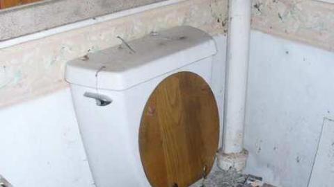 White Rose - Leslies-demise5.jpg