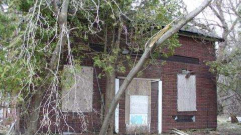 White Rose - Leslies-demise19.jpg